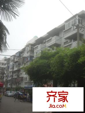 安樂街坊外景圖 