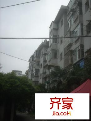 安樂街坊外景圖 