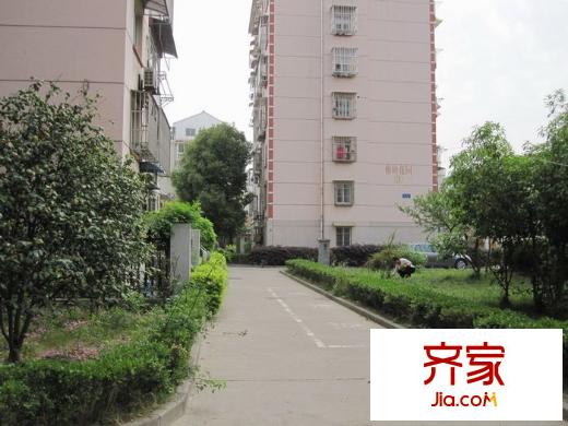 梅花園外景圖2