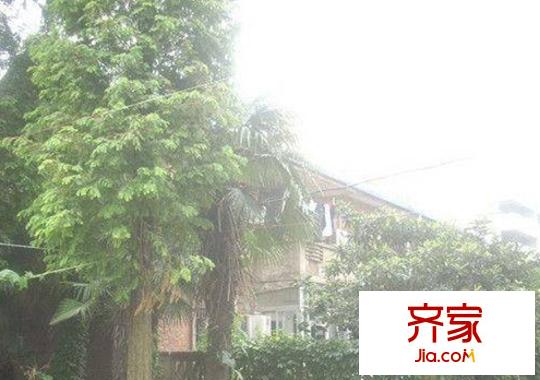 潘橋路供電局宿舍外景圖4