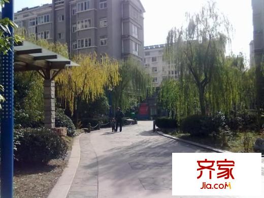 金菊花都外景圖 