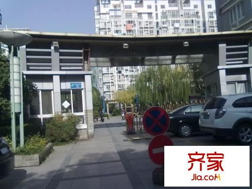 金菊花都外景圖 