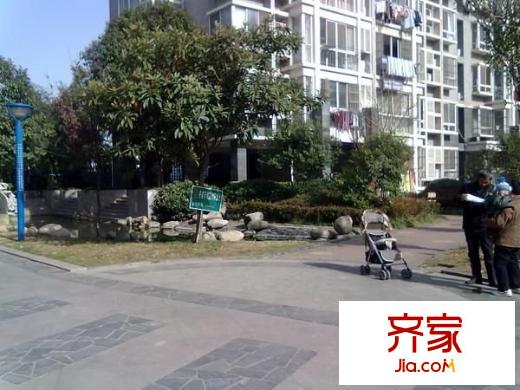 金菊花都外景圖 