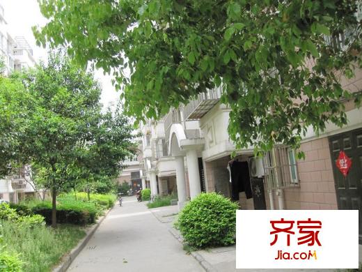 梅嶺佳園外景圖外景2