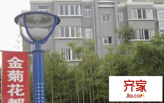 金菊花都外景圖2005328111146521