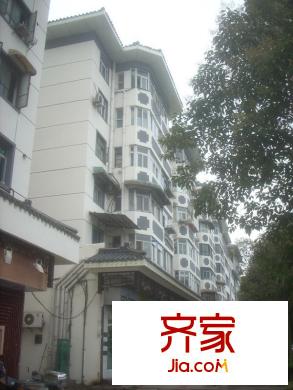 安樂街坊外景圖 