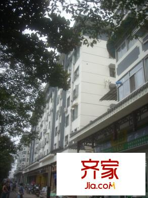 安樂街坊外景圖 
