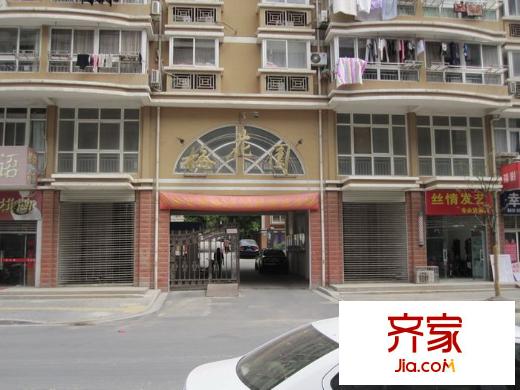 梅花園外景圖外景1