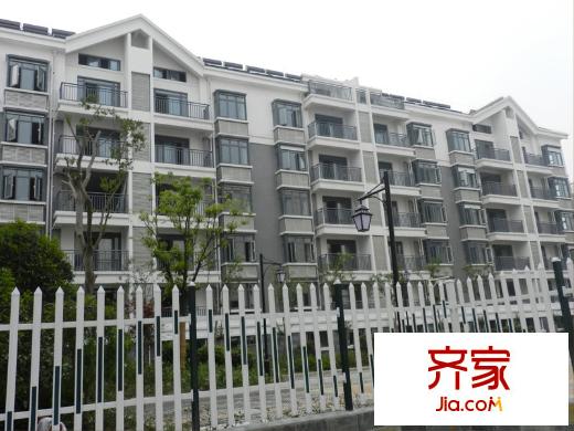 鉑領(lǐng)公館實景圖5#樓2012-06-07