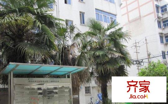 念四機(jī)關(guān)宿舍外景圖2
