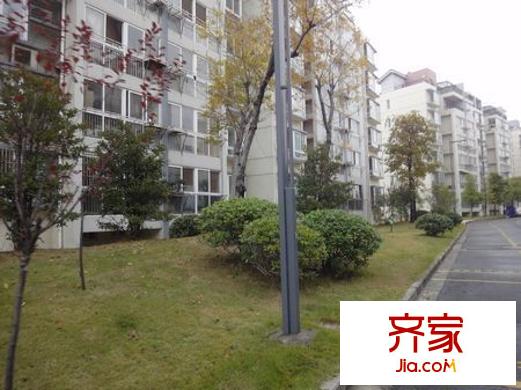 芍藥街坊外景圖4