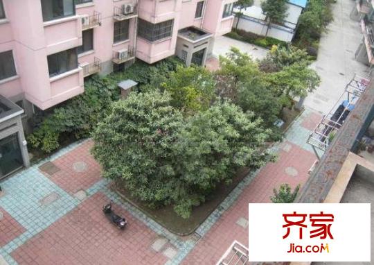 棲祥苑外景圖 