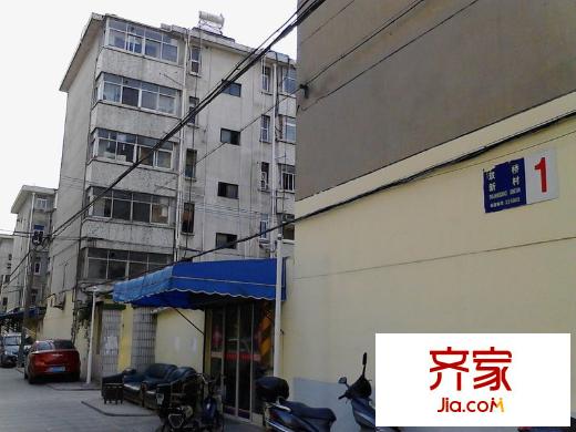 雙橋王莊外景圖 
