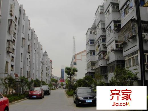 楊莊街坊外景圖 