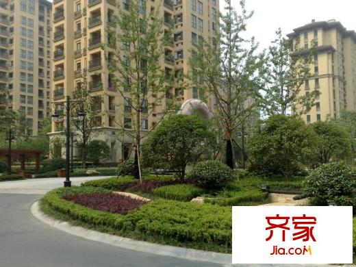 翡翠城外景圖5