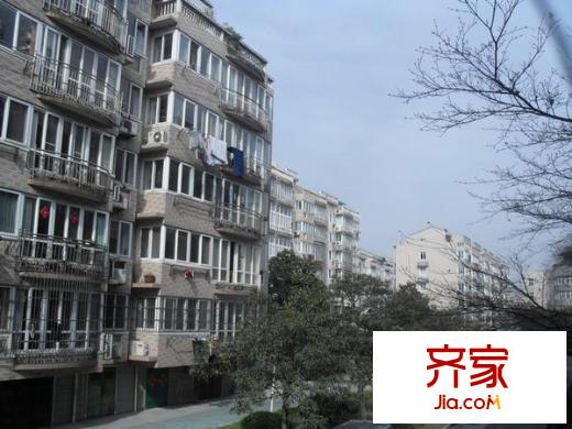 望月苑外景圖-3