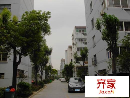 楊莊街坊外景圖 
