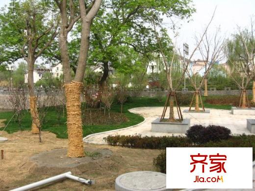 柳湖南苑外景圖2