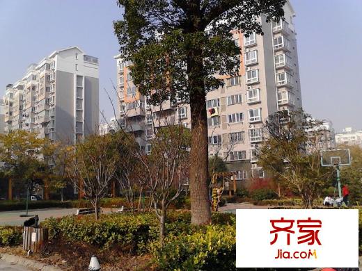 花樣年華外景圖新能源? 