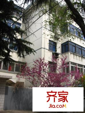 友誼新村