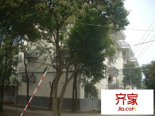 友誼新村外景圖DSCN0146