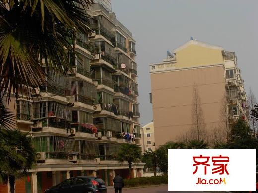 金鑫花苑
