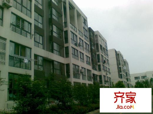 新盛花園外景圖 