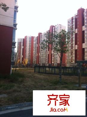 振興花園