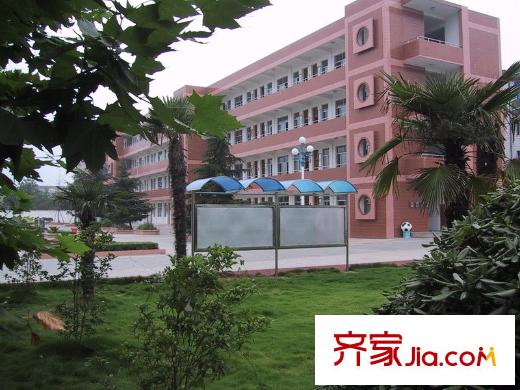 金達(dá)豐澤園周邊配套公道中學(xué)