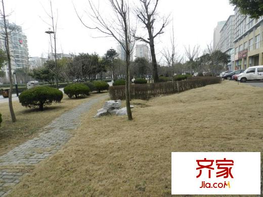 慶松清華園花園2013-2-6