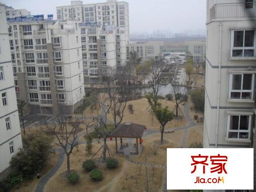 陽光地帶