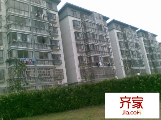 新盛花園外景圖 