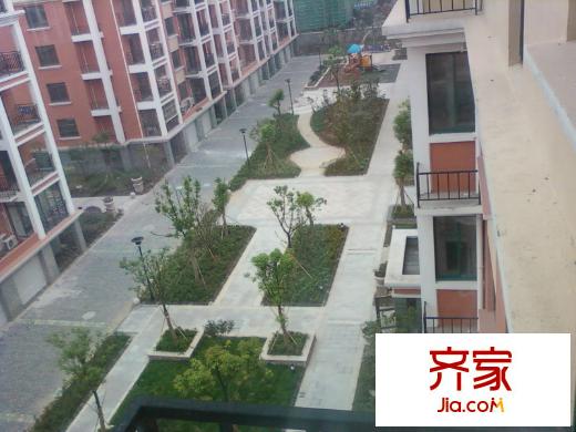 茗園天府實(shí)景圖2010-10-14