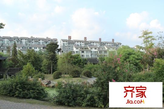 陽(yáng)光水岸花園小區(qū)南面綠化景觀帶（2015-09-17）