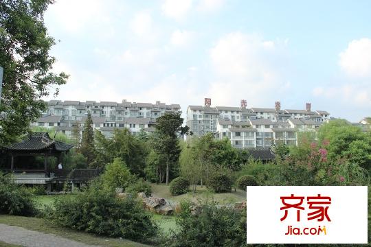 陽(yáng)光水岸花園小區(qū)南面綠化景觀帶（2015-09-17）