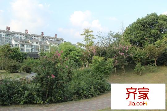陽(yáng)光水岸花園小區(qū)南面（2015-09-17）
