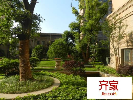 桐園小區(qū)綠化（2014-5-7）