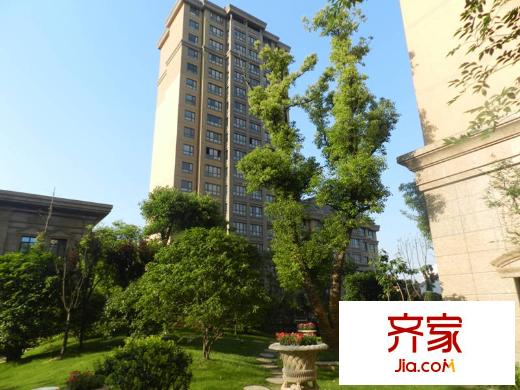 桐園小區(qū)綠化（2014-5-7）