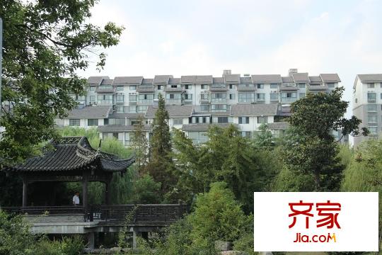 陽(yáng)光水岸花園小區(qū)南面綠化景觀帶（2015-09-17）
