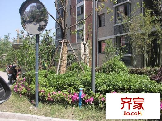 江揚(yáng)尚東國際小區(qū)綠化（2014-4-30）