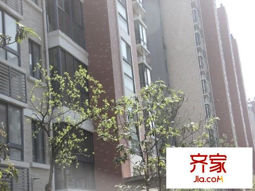 江揚(yáng)尚東國際2014-4-30