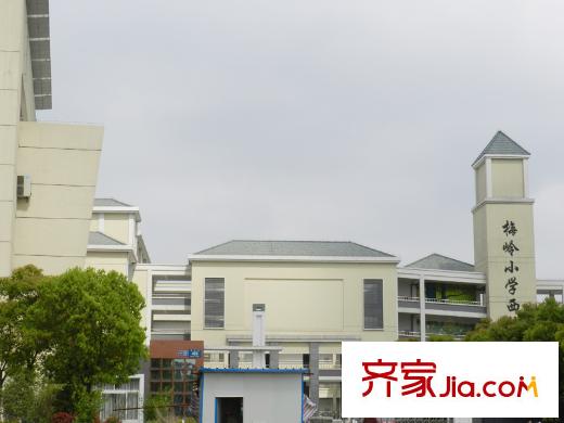 桐園周邊配套梅嶺小學(xué)西校區(qū)