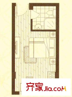 世業(yè)洲一號(hào)公寓C戶型 1室1衛(wèi)