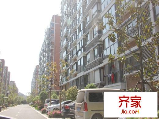 江揚尚東國際