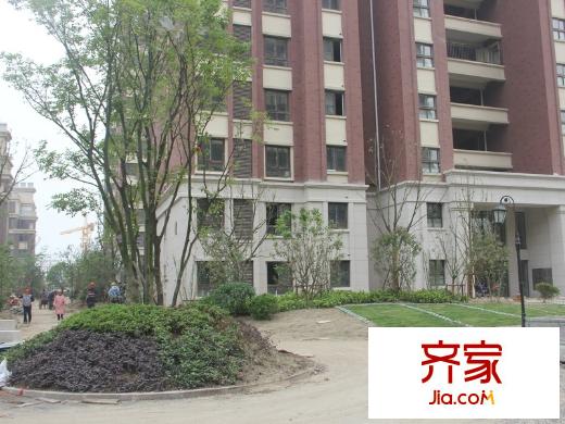 橡樹灣二期綠化（2014-05-18）