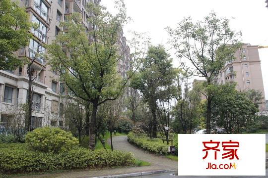 大上海御龍灣綠化（2015-03-22）