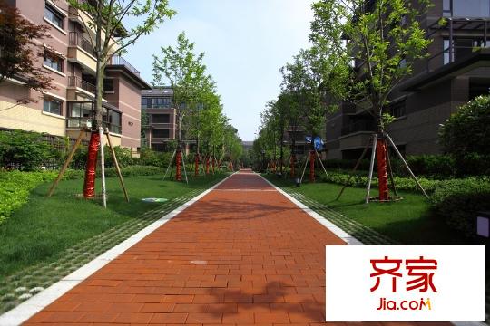 萬(wàn)科城綠化（2015-07-12）