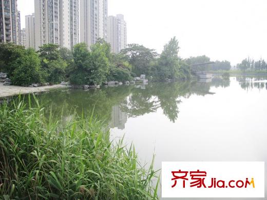 雅居樂國際周邊配套蝶湖