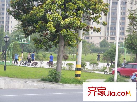 靜安陽(yáng)光花都周邊配套籃球場(chǎng)