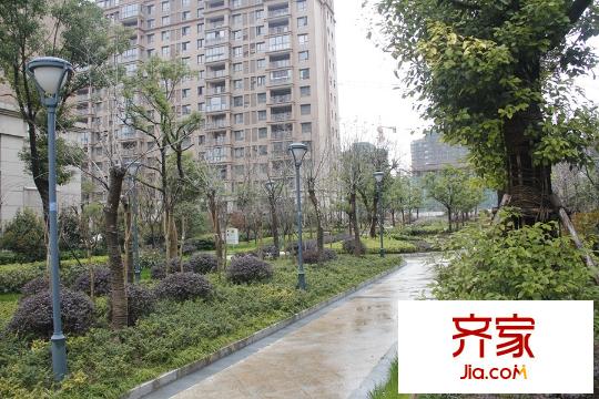 大上海御龍灣綠化（2015-03-22）